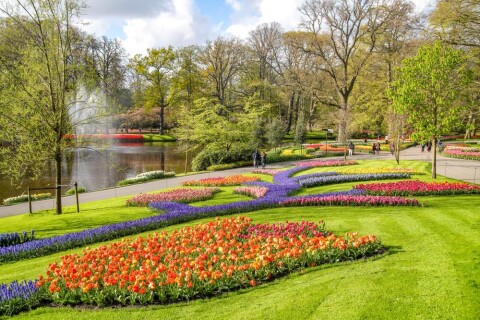 Dorpshart Lisse Keukenhof fotocredit Keukenhof Lisse