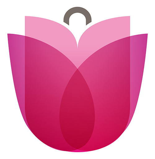 dorpshar lisse logo icon