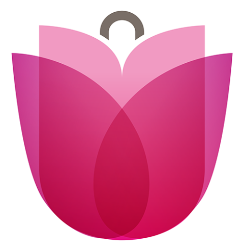 dorpshar lisse logo icon