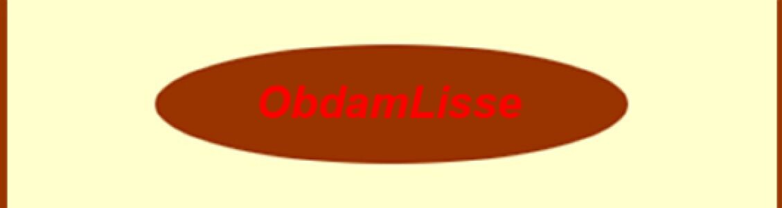 Dorpshart Lisse logo winkel Opdam schoenreparatie