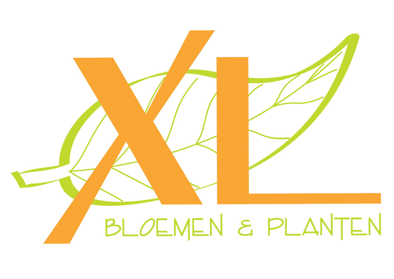 Dorpshart Lisse logo winkel XL bloemen en planten