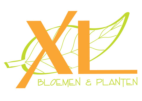 Dorpshart Lisse logo winkel XL bloemen en planten
