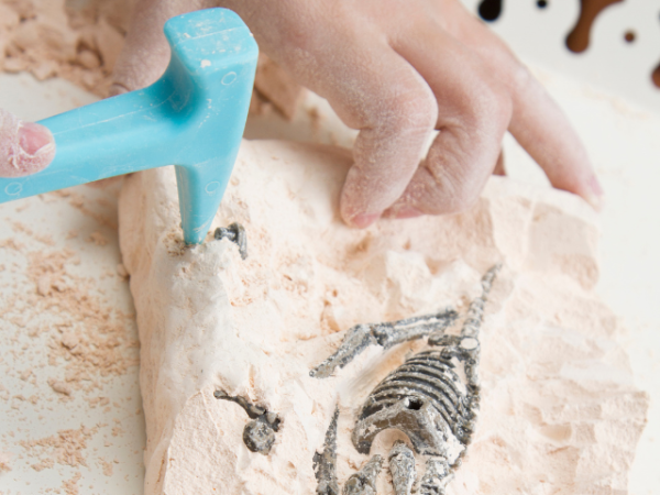 Bibliotheek Lisse - Mad science | Dino’s opgraven in de bieb