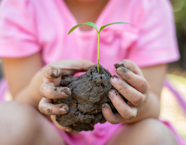 Bibliotheek Lisse - Koffie+ | Maak je tuin klimaatbestendig