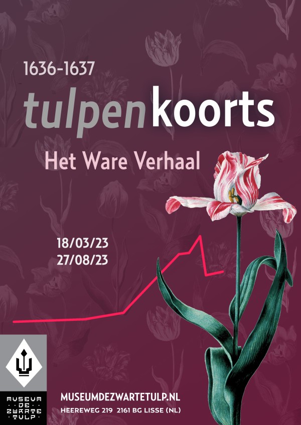 Museum de Zwarte Tulp presenteert Tulpenkoorts