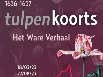 Museum de Zwarte Tulp presenteert Tulpenkoorts