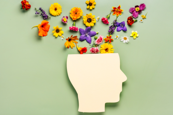 Workshop Positieve Gezondheid in Bibliotheek Lisse