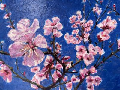 Bibliotheek Lisse - Expositie Lente!