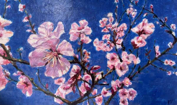 Bibliotheek Lisse - Expositie Lente!